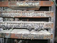 it is important to keep your networking equipment clean!